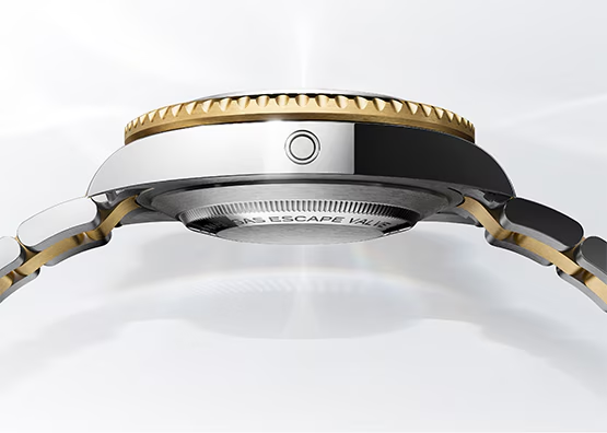 Rolex case and movement detail